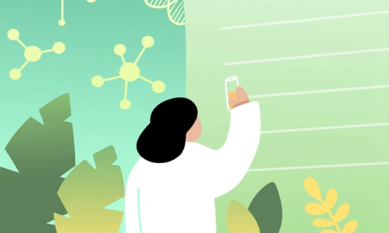 陇西师范学校2025年有哪些招生专业