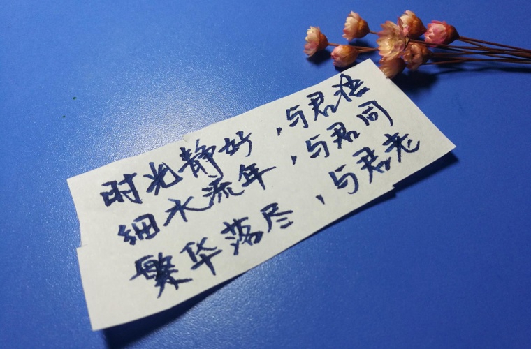 陕西省农业机械化学校2024年招生简章