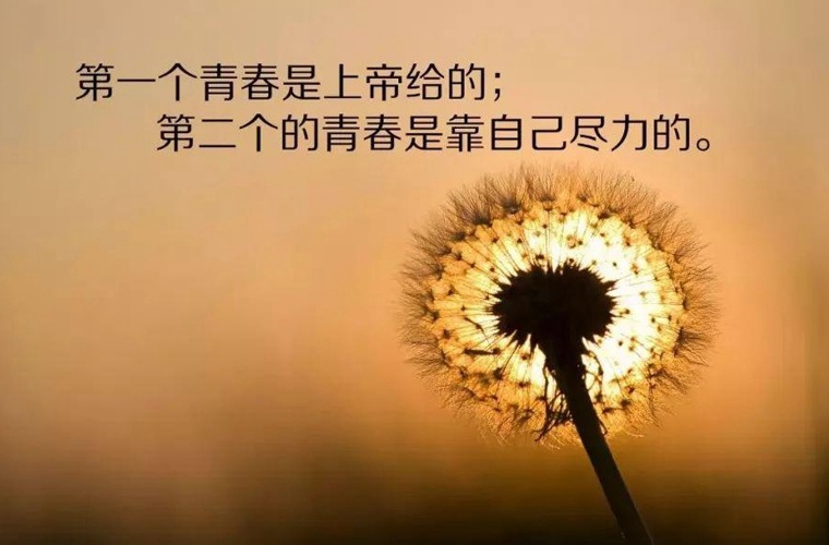 重庆市医药科技学校2024年招生简章